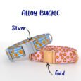 AlloyBuckles