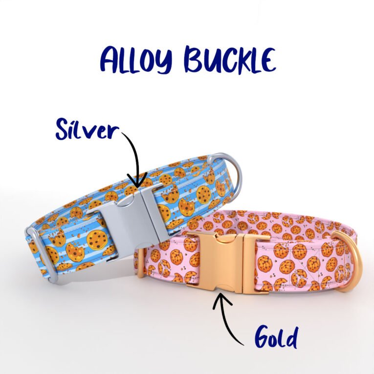 AlloyBuckles
