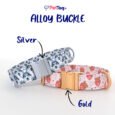 AlloyBuckles