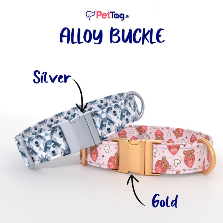 AlloyBuckles