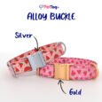 AlloyBuckles
