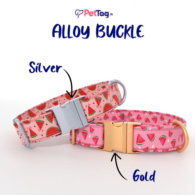 AlloyBuckles