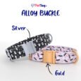 AlloyBuckles