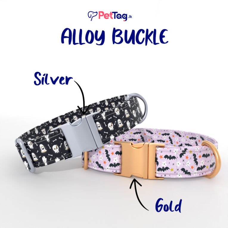 AlloyBuckles