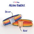 AlloyBuckles