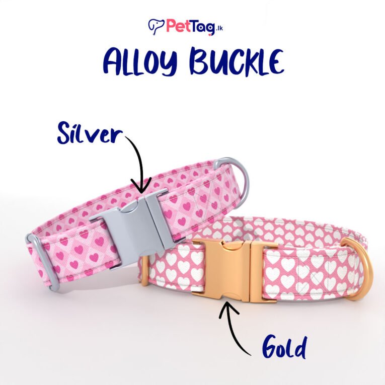 AlloyBuckles