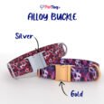 AlloyBuckles