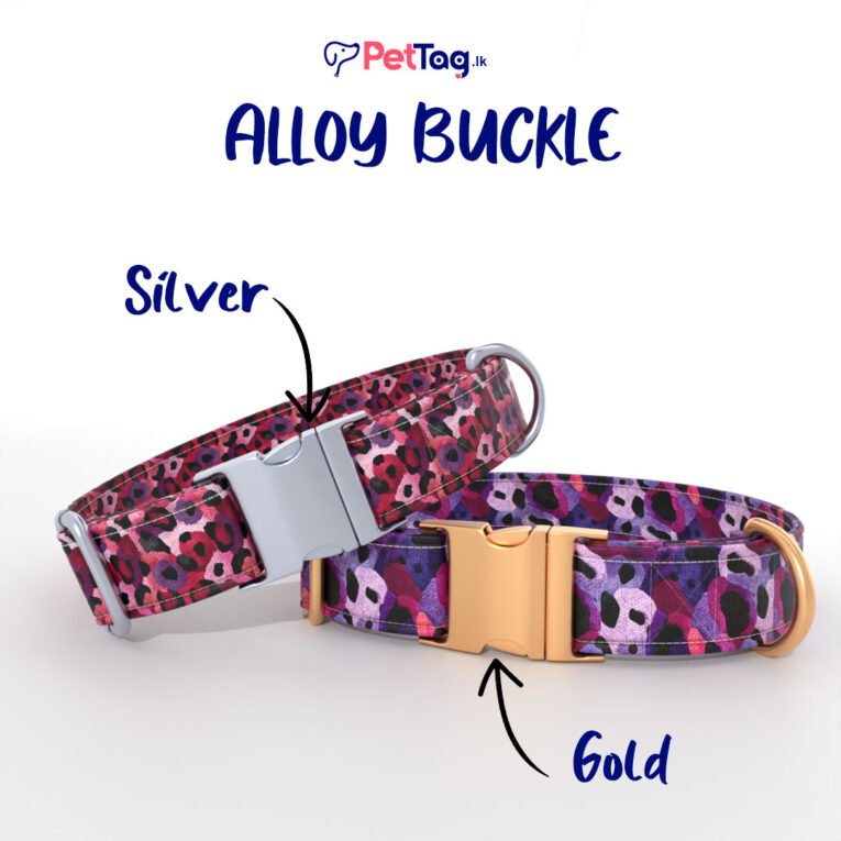AlloyBuckles
