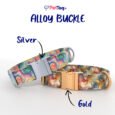 AlloyBuckles