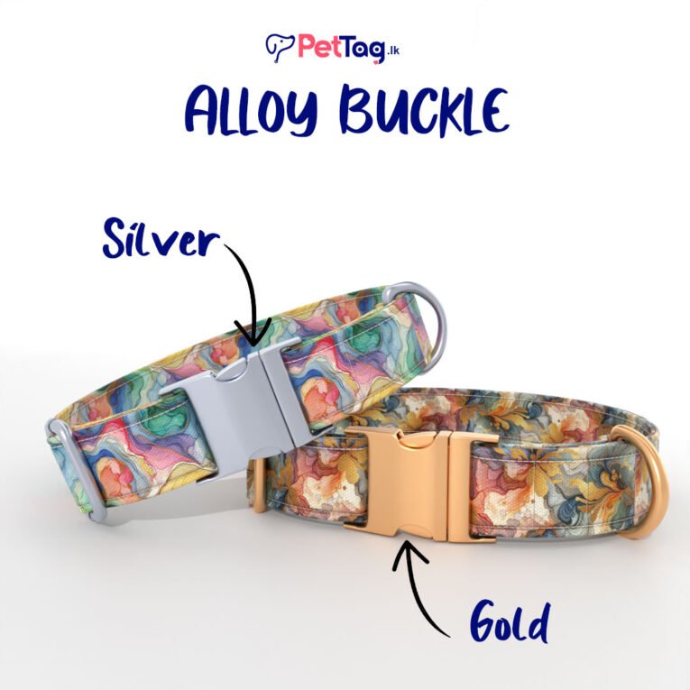 AlloyBuckles