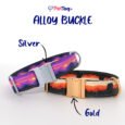 AlloyBuckles