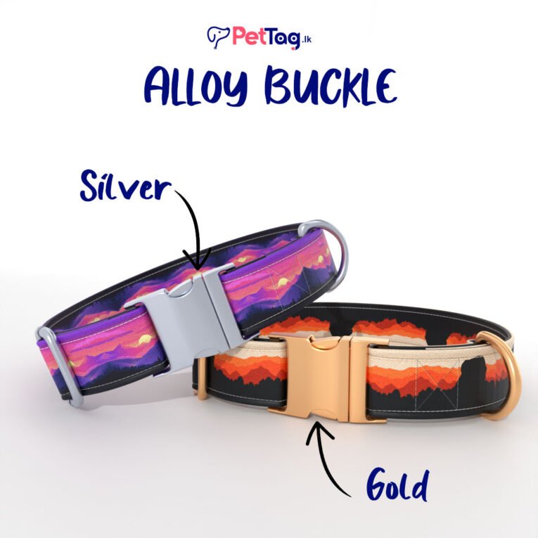 AlloyBuckles
