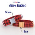 AlloyBuckles