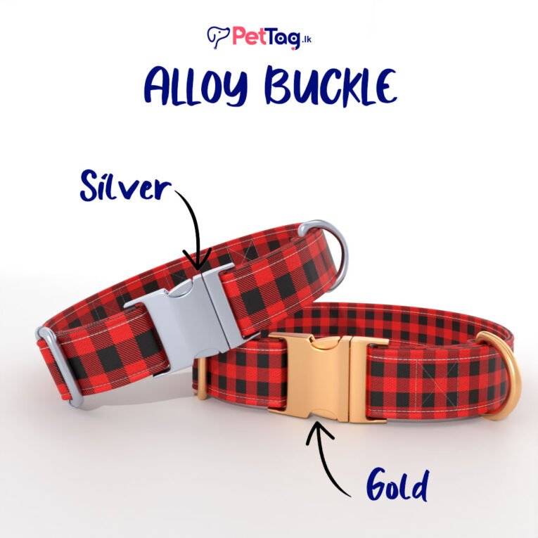 AlloyBuckles