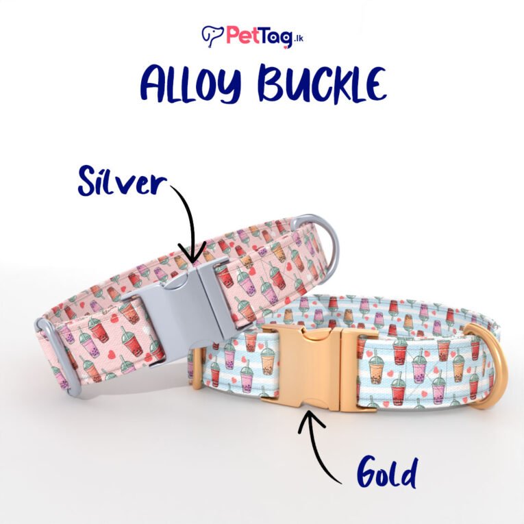 AlloyBuckles