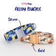 AlloyBuckles