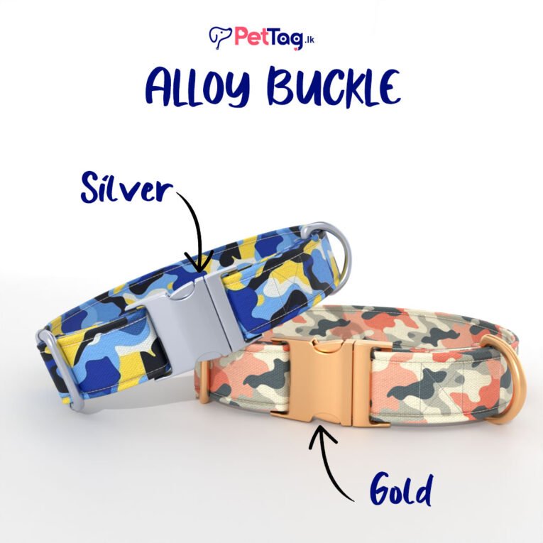 AlloyBuckles