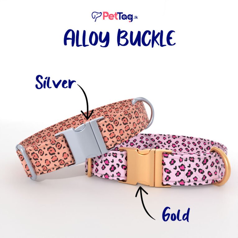 AlloyBuckles