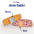 AlloyBuckles