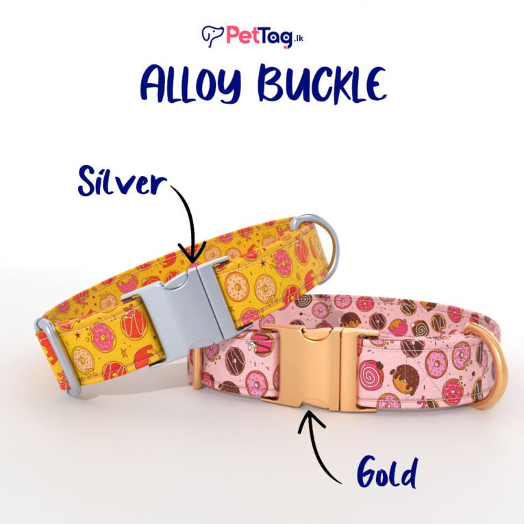 AlloyBuckles