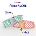 AlloyBuckles