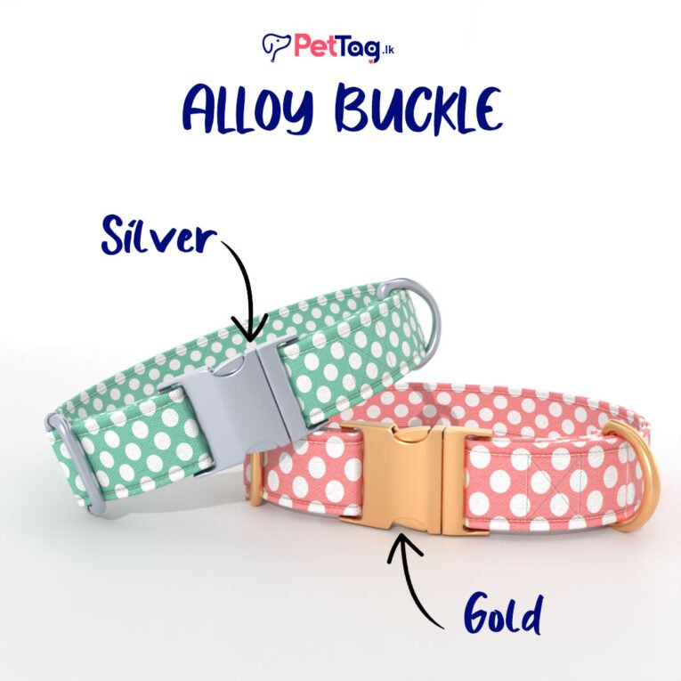 AlloyBuckles