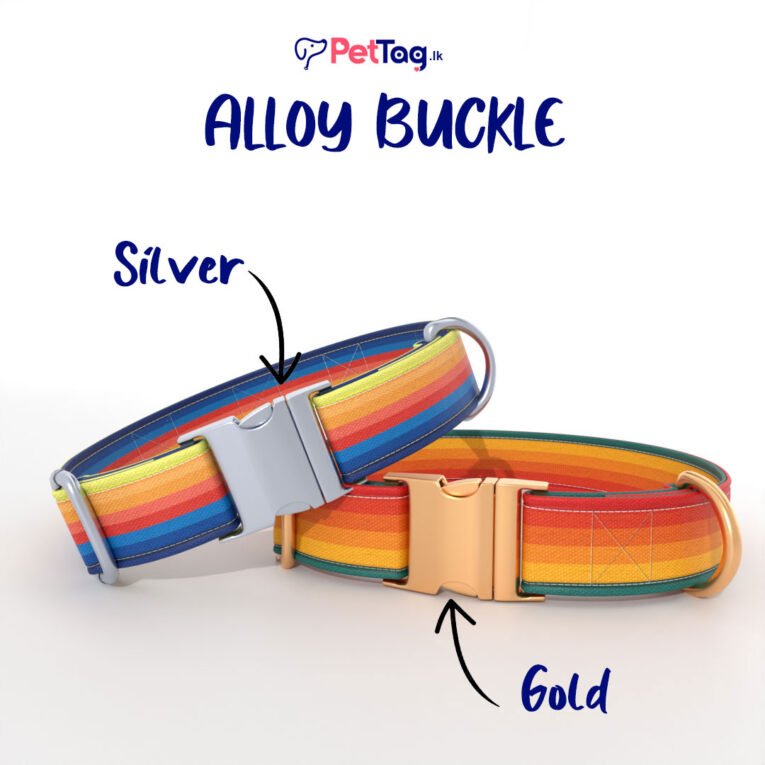 AlloyBuckles