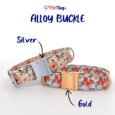 AlloyBuckles