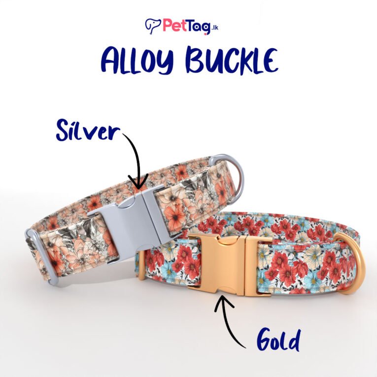 AlloyBuckles