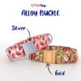 AlloyBuckles