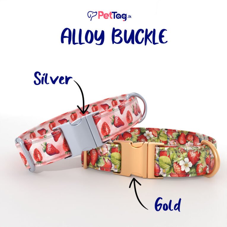 AlloyBuckles