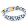 Dog-Blue