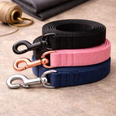 Dog Leash