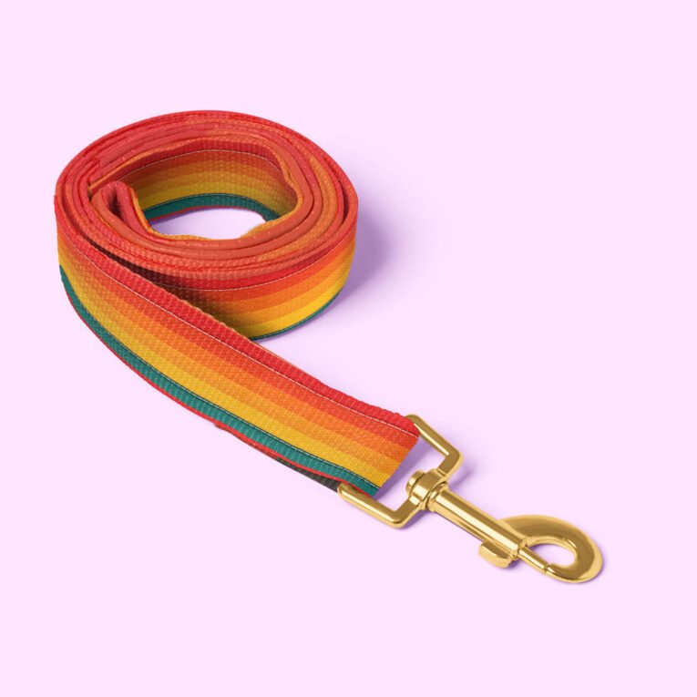 Dog-leash-Sunset