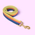 Dog-leash-Sunset2