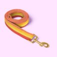 Dog-leash-Sunset3