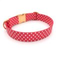 Dot2-Red