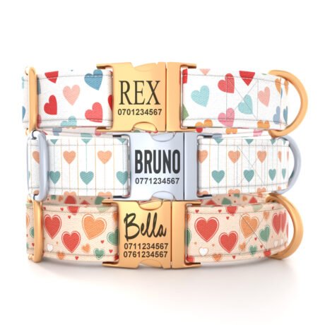 Personalized “Heart Color” Dog Collar – Custom Premium Adjustable Collar