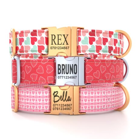 Personalized “Heart Design” Dog Collar – Custom Premium Adjustable Collar
