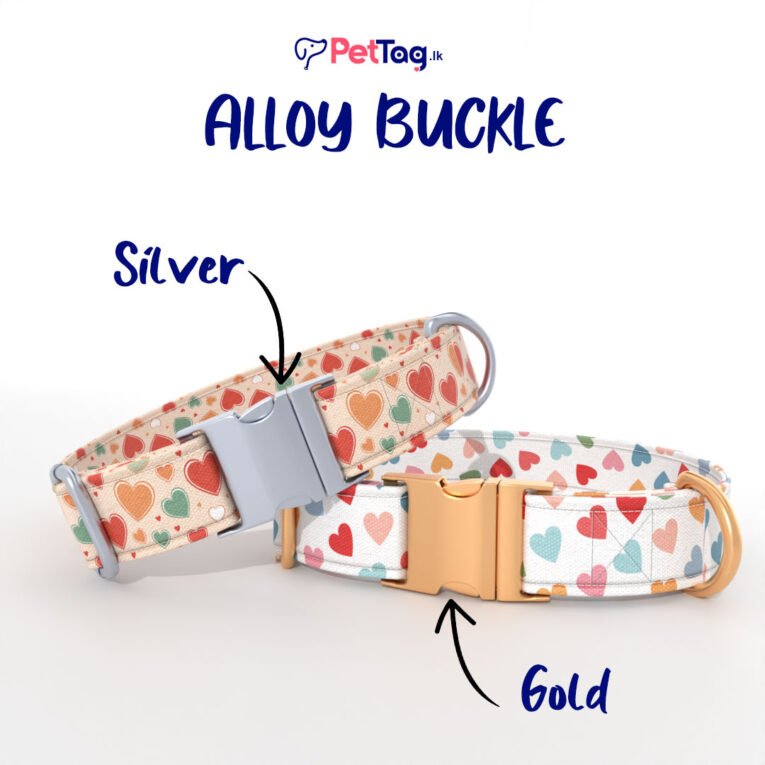 Heart-mix-AlloyBuckles