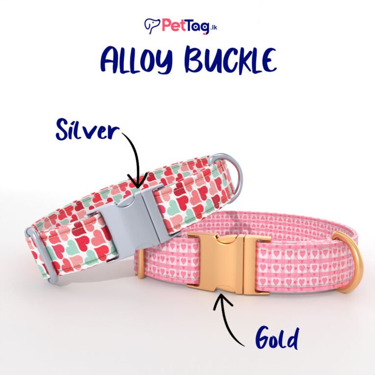 Heart-mix2-AlloyBuckles