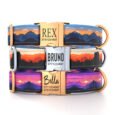 Mountain-3Strap-Eng