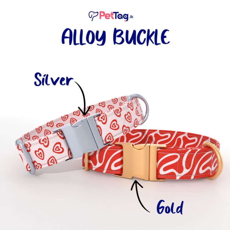 Orange-AlloyBuckles
