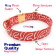 Orange-Premium-Dog-Collars