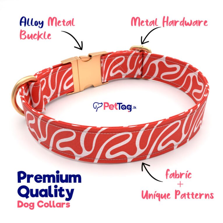 Orange-Premium-Dog-Collars