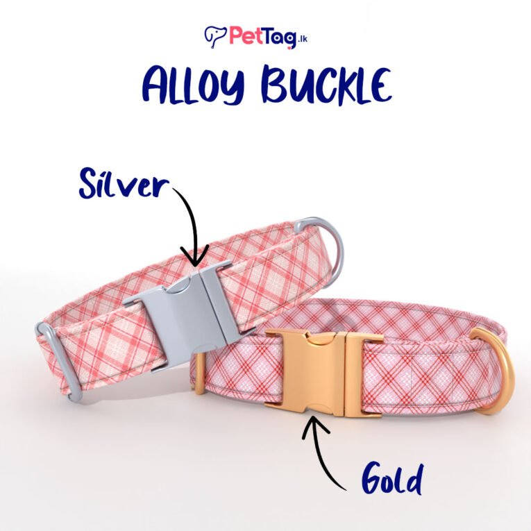 PinkRed-AlloyBuckles