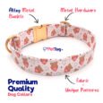 Premium-Dog-Collars