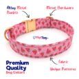 Premium-Dog-Collars