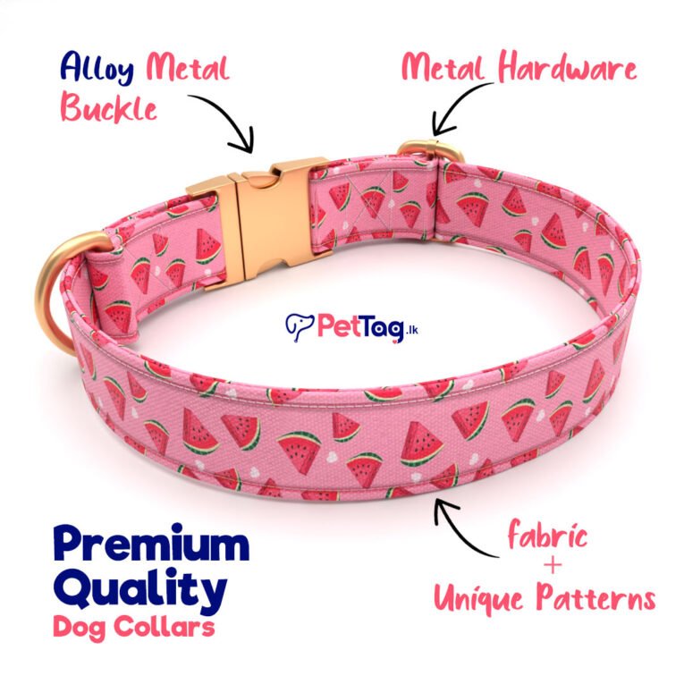 Premium-Dog-Collars