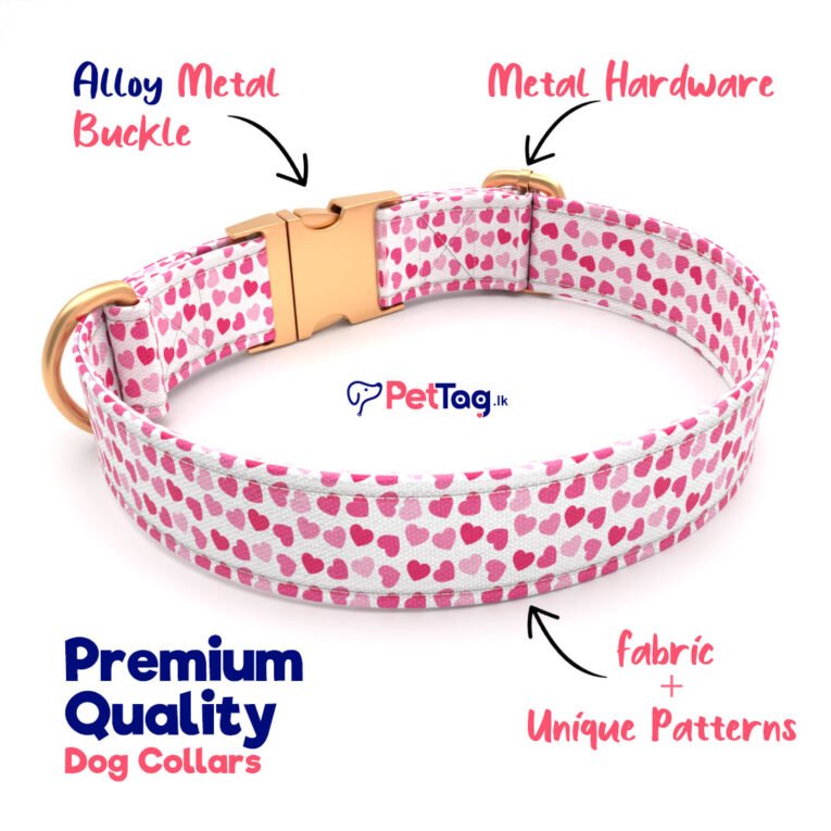 Premium-Dog-Collars